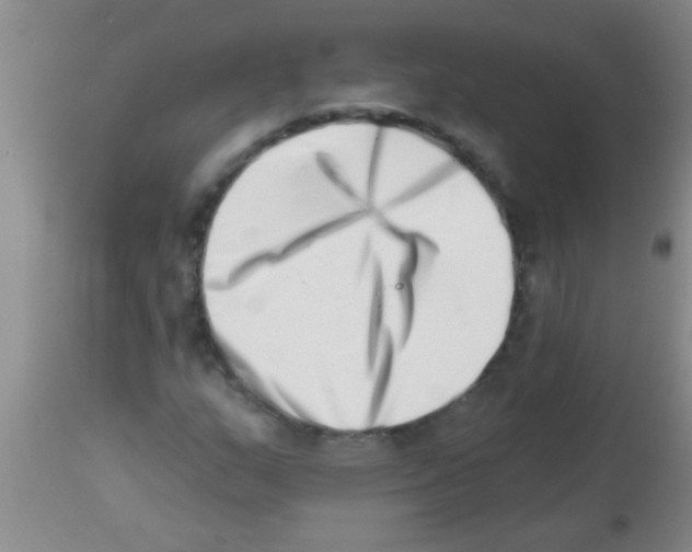 X0000113201159200910221033