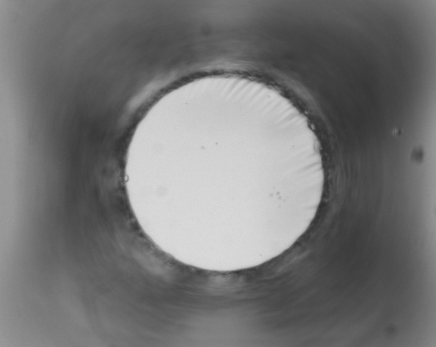 X0000113201160200910221033