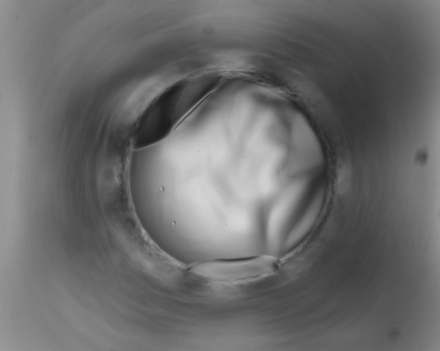 X0000113201161200910221033