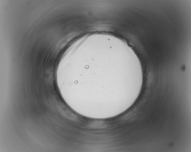 X0000113201162200910221033