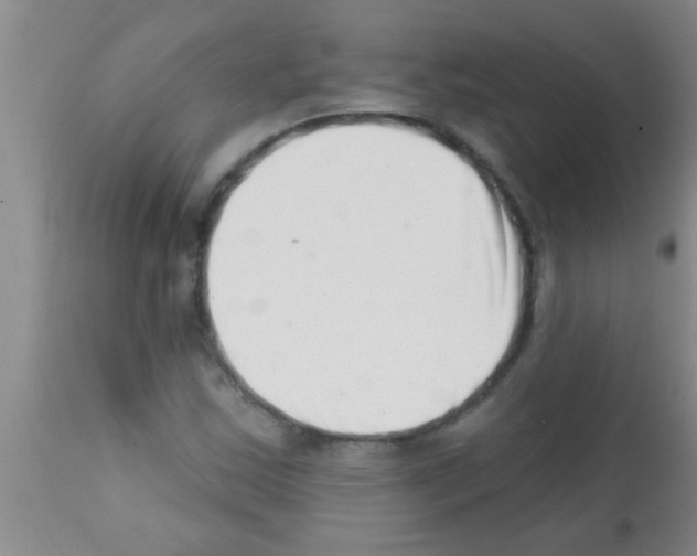 X0000113201163200910221033