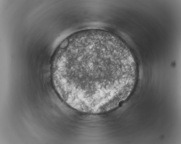 X0000113201164200910221033