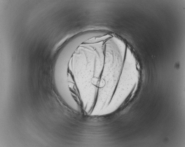 X0000113201165200910221033