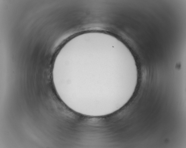 X0000113201166200910221033