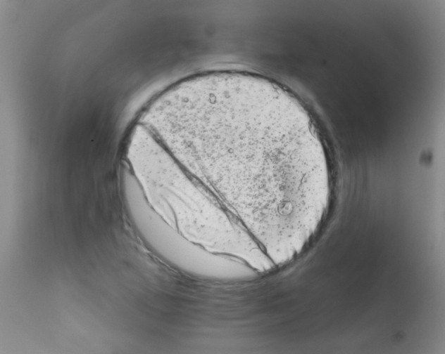 X0000113201167200910221033