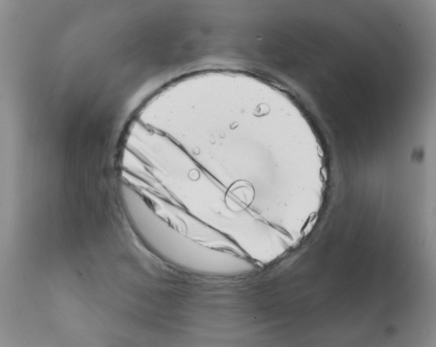 X0000113201168200910221033