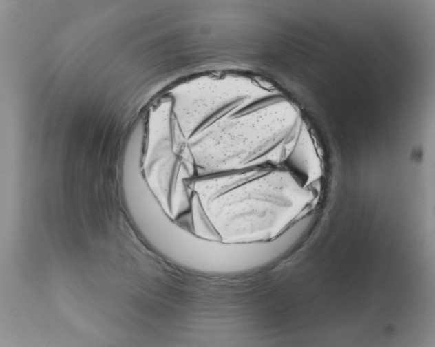 X0000113201169200910221033