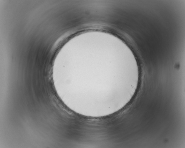 X0000113201172200910221033