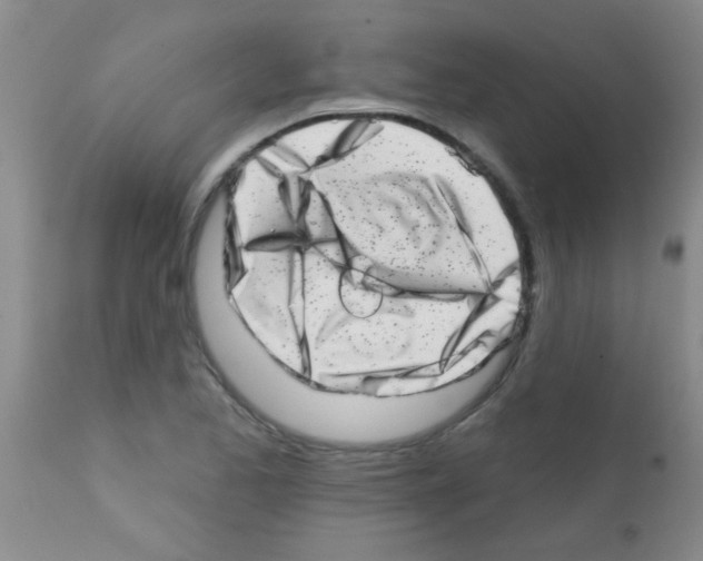 X0000113201173200910221033
