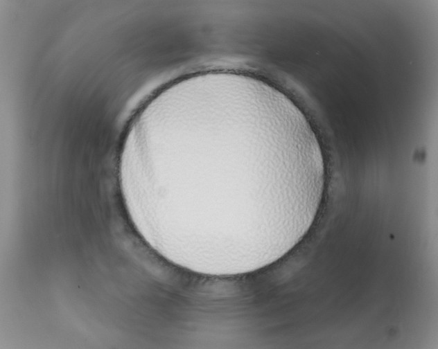 X0000113201174200910221033