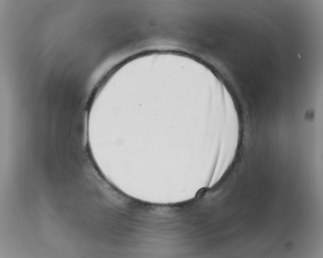 X0000113201175200910221033