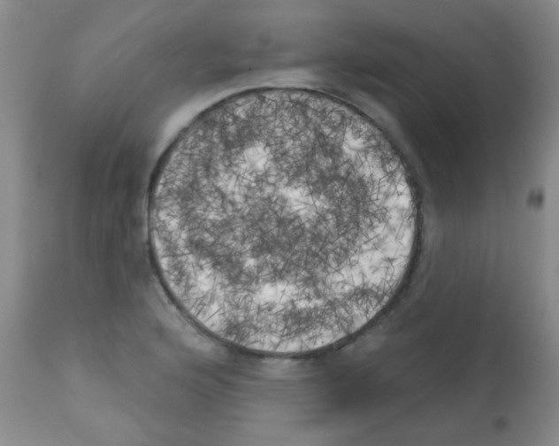 X0000113201176200910221033