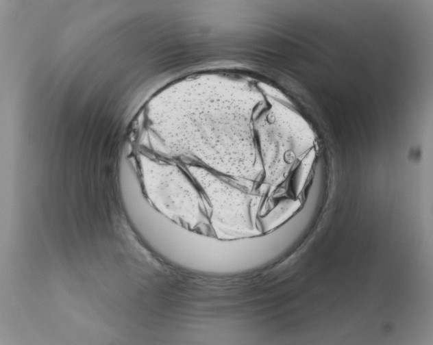 X0000113201177200910221033