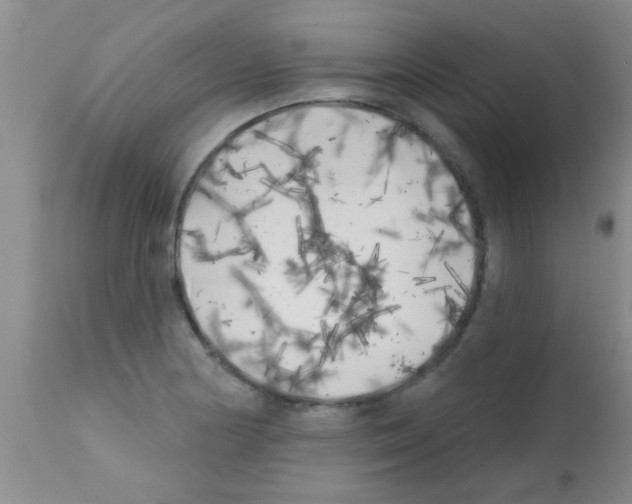 X0000113201178200910221033