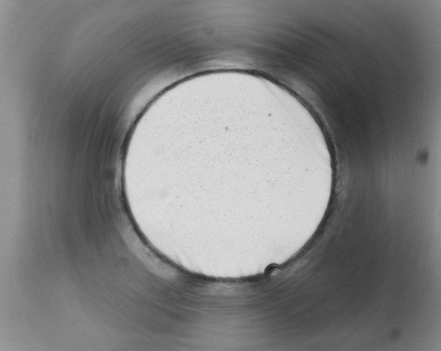 X0000113201179200910221033