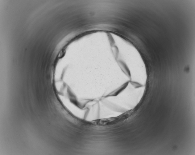 X0000113201180200910221033
