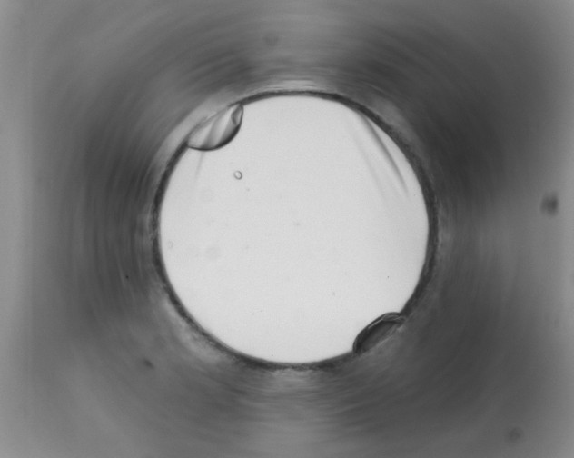 X0000113201181200910221033