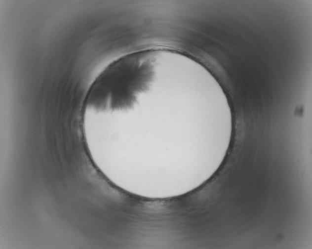 X0000113201182200910221033