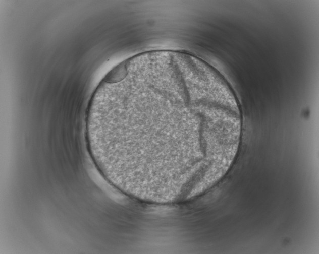 X0000113201187200910221033