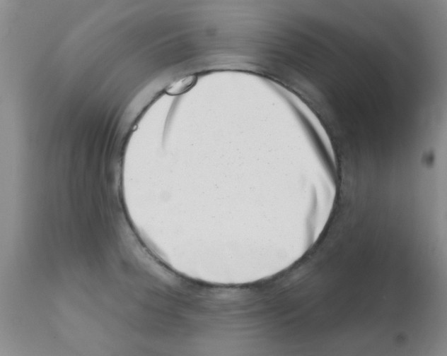 X0000113201188200910221033