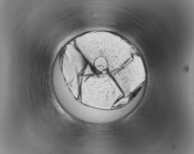 X0000113201189200910221033