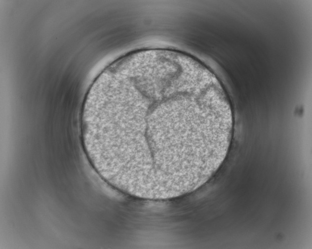 X0000113201191200910221033