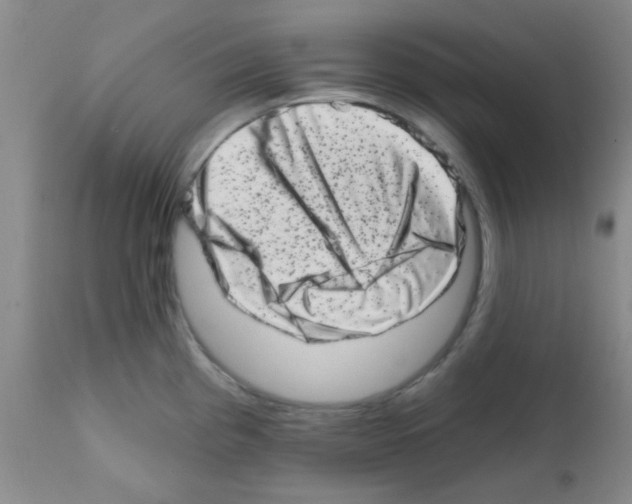 X0000113201193200910221033