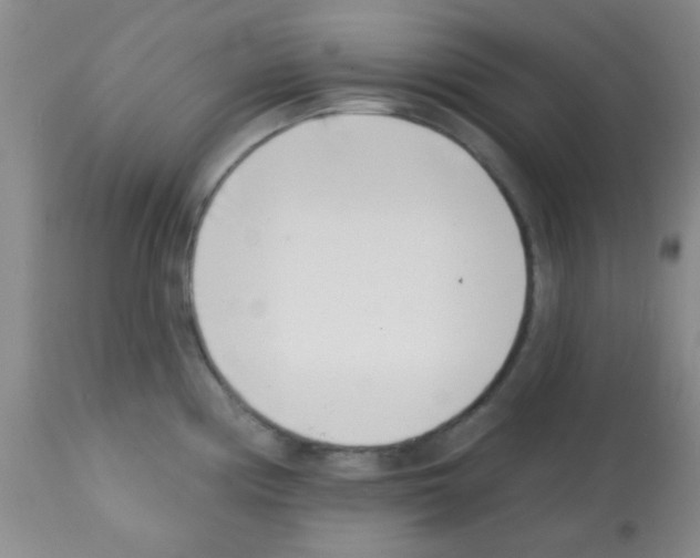 X0000113201194200910221033
