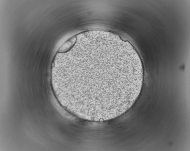 X0000113201195200910221033