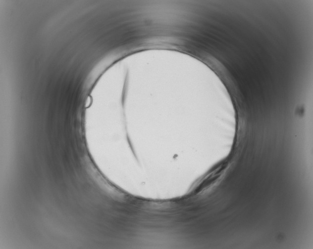 X0000113201196200910221033