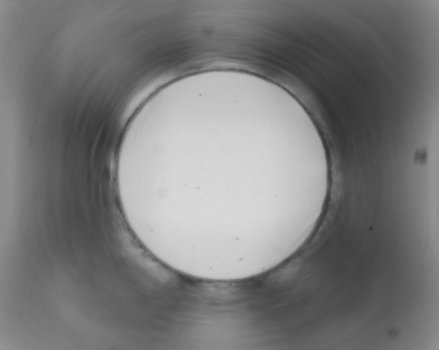 X0000113201198200910221033