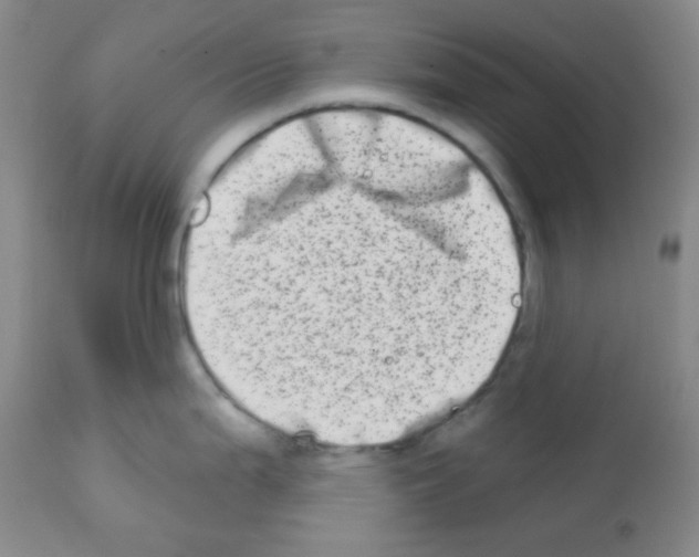 X0000113201199200910221033