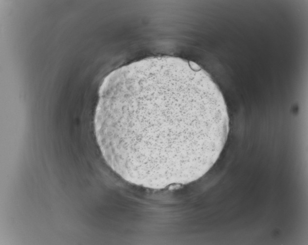 X0000113201201200910221032