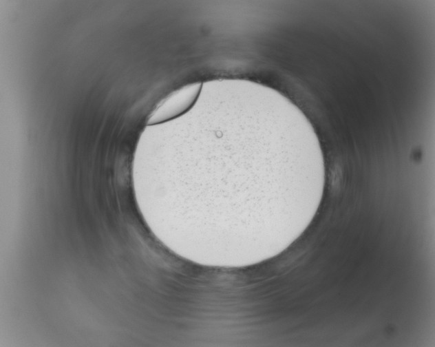 X0000113201204200910221032