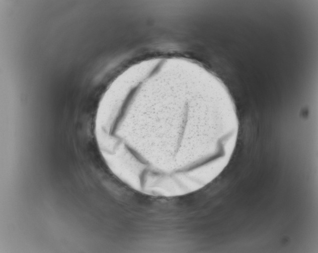 X0000113201205200910221032