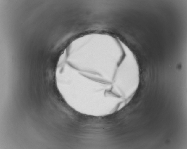 X0000113201206200910221032
