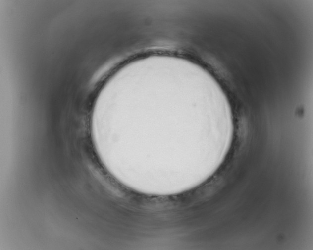 X0000113201208200910221032