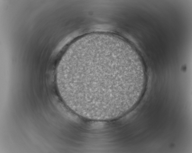 X0000113201211200910221032