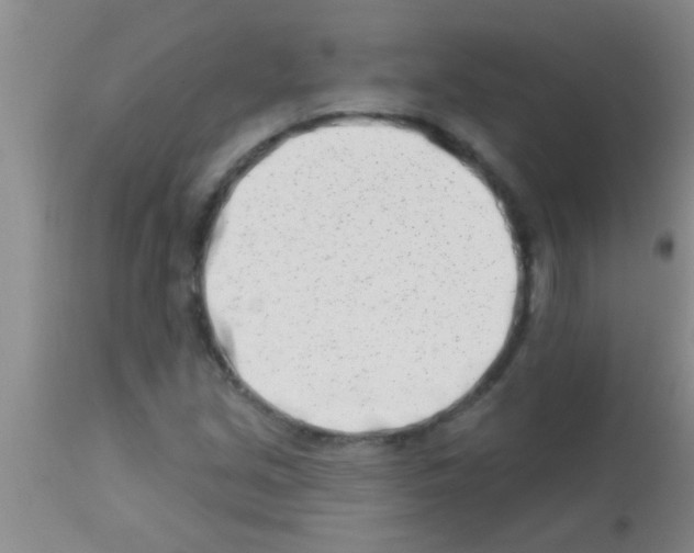 X0000113201213200910221032