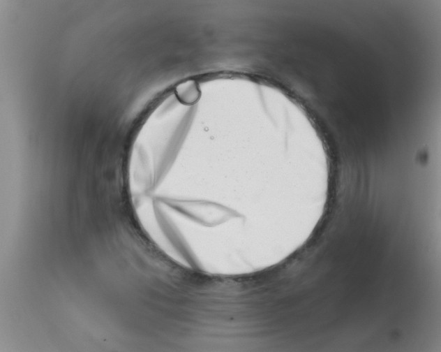 X0000113201214200910221032