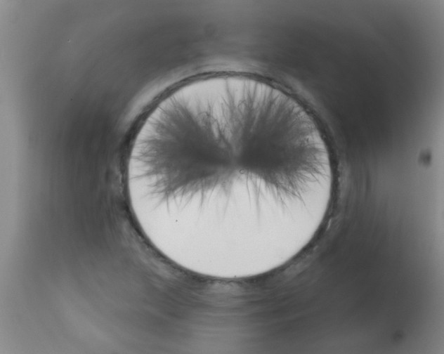 X0000113201215200910221032