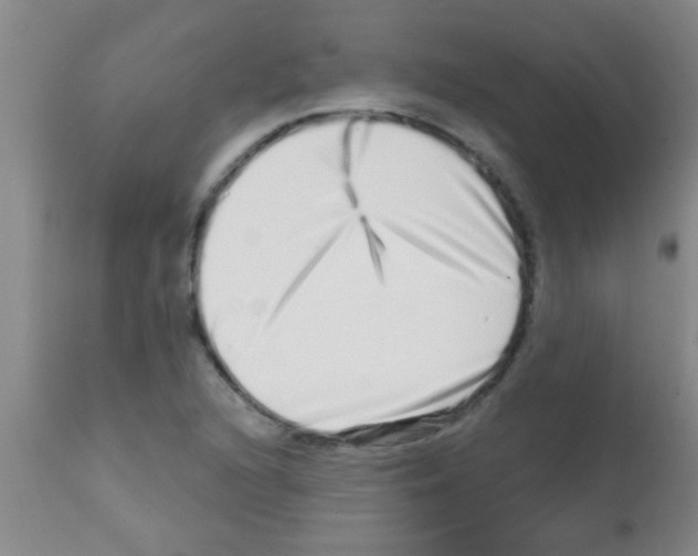 X0000113201216200910221032