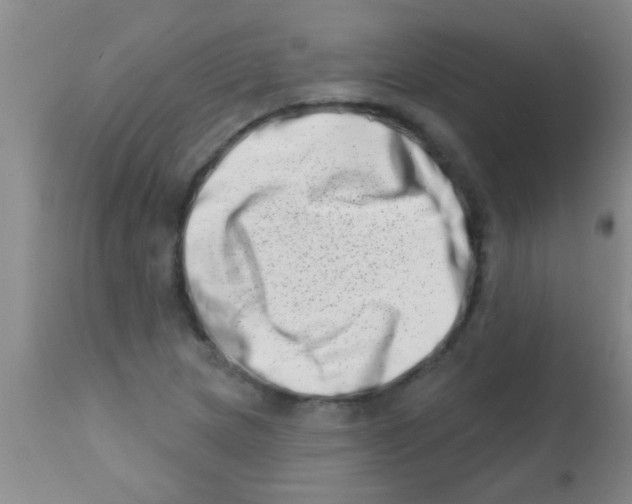 X0000113201217200910221032