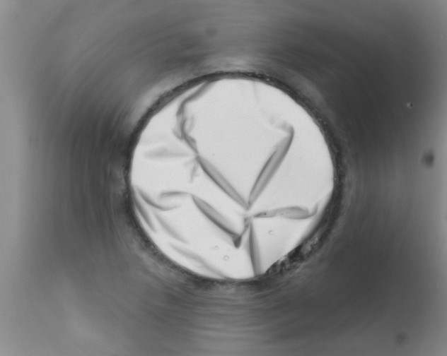 X0000113201218200910221032