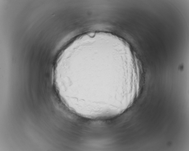 X0000113201219200910221032