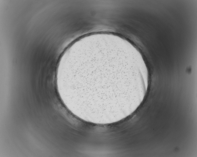 X0000113201220200910221032