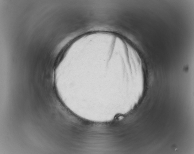 X0000113201221200910221032