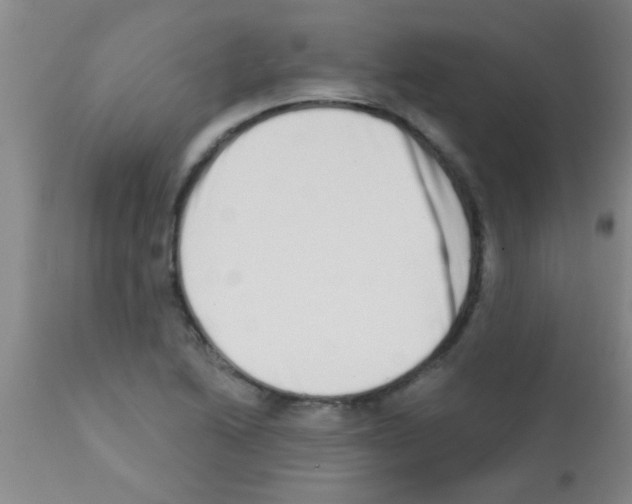 X0000113201222200910221032