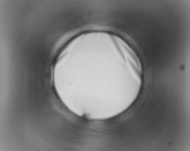 X0000113201223200910221032