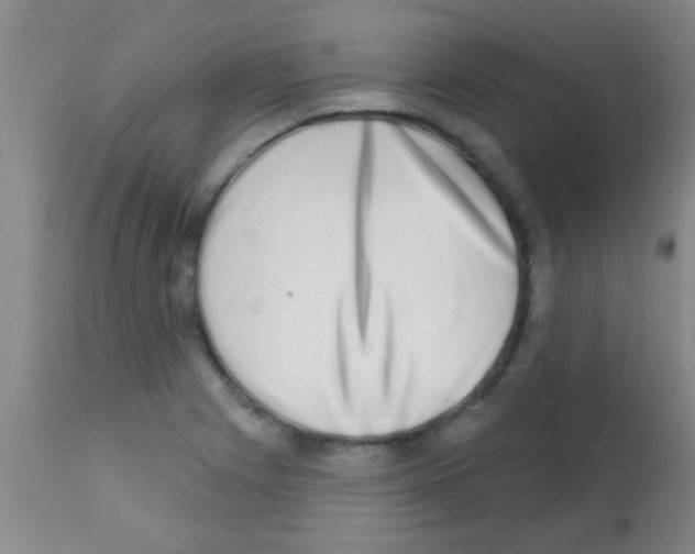X0000113201225200910221032